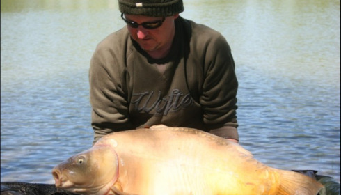 A 51 lb 1 oz carp from Beaurepaire, May 2019