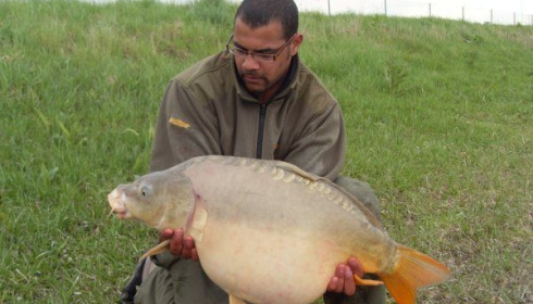 A carp from Beaurepaire, Carl Clarke, May 2010