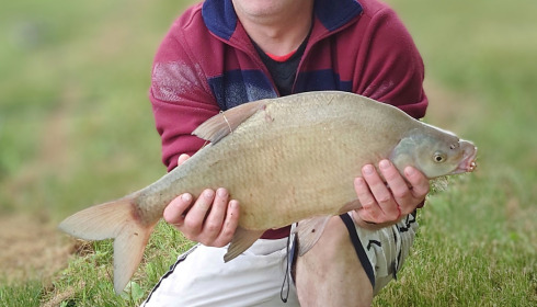 A fish from Beaurepaire, Shaun Foulkes, Jul 2023