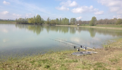 A fish from Beaurepaire, Ben Hopkins, Apr 2012