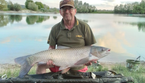 A carp from Beaurepaire, Jun 2022
