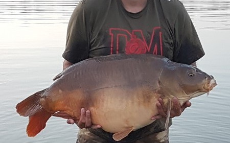A 45 lb carp from Beaurepaire, Sean Leaver, Aug 2018