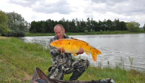 A carp from Beaurepaire, Robert Gosney, Jul 2023