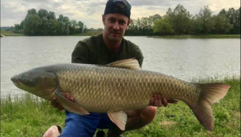 A carp from Beaurepaire, Aug 2019