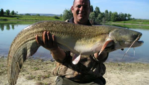 A 33 lb catfish from Beaurepaire, Paul Lee, Jul 2010