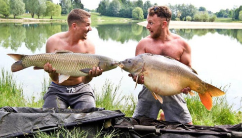 A carp from Beaurepaire, Jun 2017