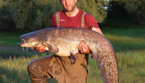 A catfish from Beaurepaire, Jun 2022
