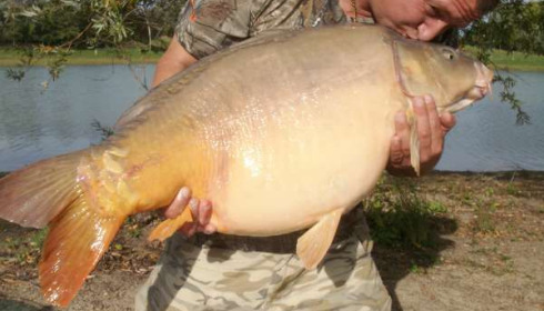 A 38 lb 10 oz carp from Beaurepaire, Anthony Kingsley, Oct 2010