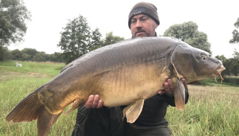 A fish from Beaurepaire, Oct 2021
