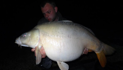 A carp from Beaurepaire, Ben Hopkins, Apr 2012