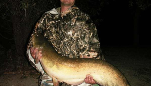A 36 lb 10 oz catfish from Beaurepaire, Anthony Kingsley, Oct 2010