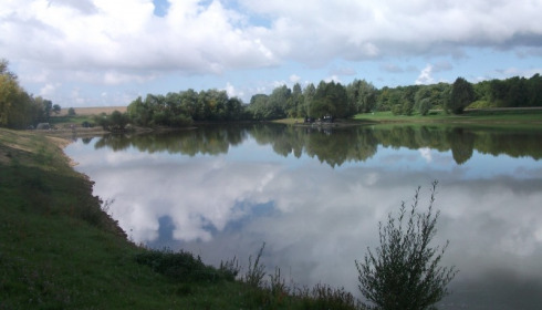 A fish from Beaurepaire, David Turner, Sep 2015