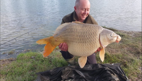 A carp from Beaurepaire, Barnaby Cutbill, Oct 2019