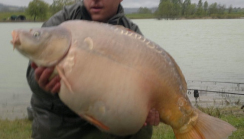 A 45 lb 9 oz carp from Beaurepaire, Colin Venton, Apr 2012