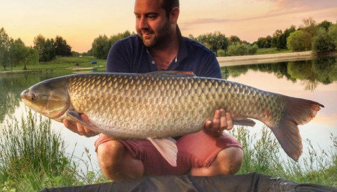 A grass carp from Beaurepaire, Jun 2017