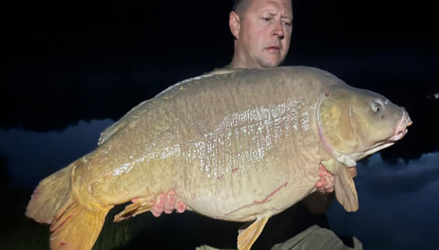 A fish from Beaurepaire, Jul 2023