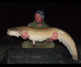 A 36 lb catfish from Beaurepaire, Dean Thomson, Sep 2013