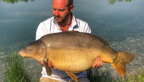 A carp from Beaurepaire, Jun 2017