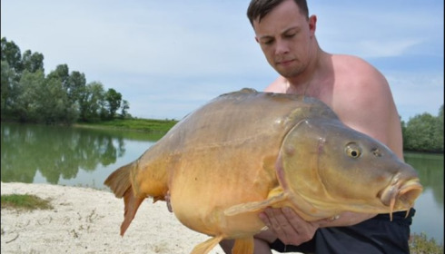 A 43 lb 9 oz carp from Beaurepaire, Shane Moody, Jun 2019