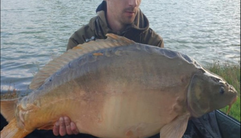 A carp from Beaurepaire, Andrew Robinson, Sep 2019