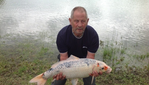 A carp from Beaurepaire, Mr Wigg's Party, May 2013
