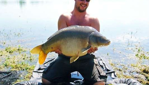 A carp from Beaurepaire, Jul 2006