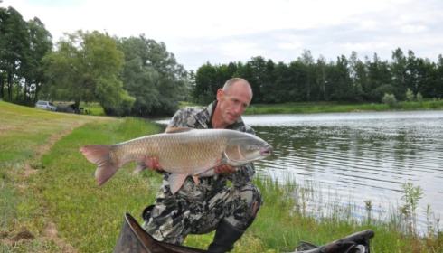A carp from Beaurepaire, Robert Gosney, Jul 2023