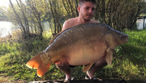 A 49 lb carp from Beaurepaire, Mark Hobbs, Sep 2017