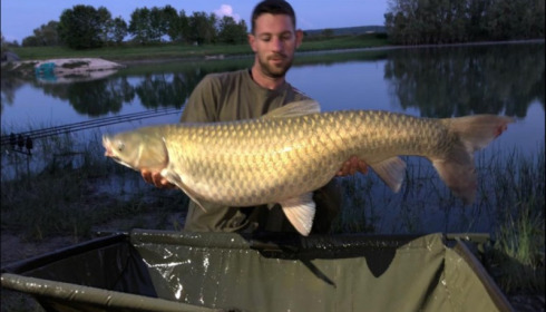 A 27 lb grass carp from Beaurepaire, Adam Gartlan, Jun 2019