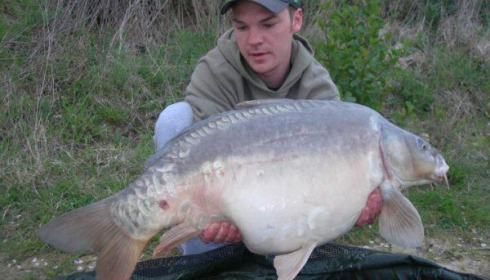 A carp from Beaurepaire, Carl Clarke, May 2010