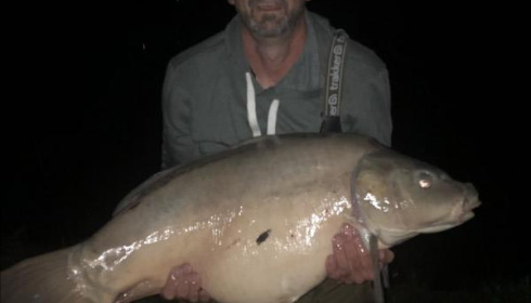 A carp from Beaurepaire, Andrew Robinson, Sep 2019
