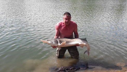 A 55 lb 12 oz sturgeon from Beaurepaire, Gary Rivett, Aug 2015