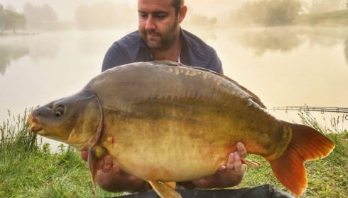 A carp from Beaurepaire, Jun 2017