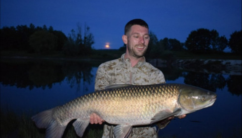 A carp from Beaurepaire, Adam Gartlan, Jun 2019