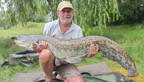 A carp from Beaurepaire, Jun 2022