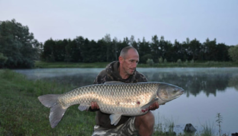 A carp from Beaurepaire, Robert Gosney, Jul 2023