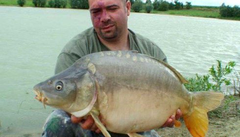 A carp from Beaurepaire, Aug 2006