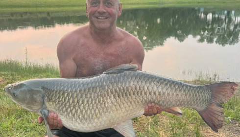 A fish from Beaurepaire, Jul 2023