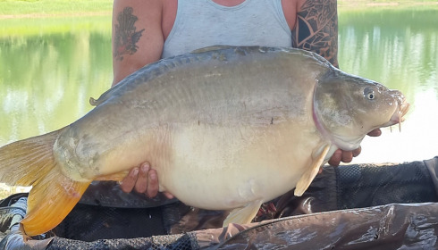 A 44 lb 4 oz fish from Beaurepaire, May 2022