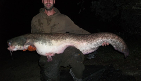 A 70 lb catfish from Beaurepaire, Ste, Oct 2014