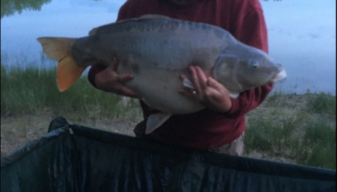 A 50 lb 4 oz carp from Beaurepaire, Jul 2019