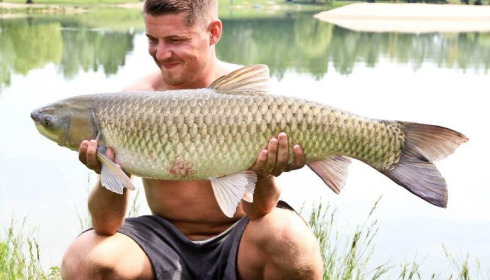 A grass carp from Beaurepaire, Jun 2017