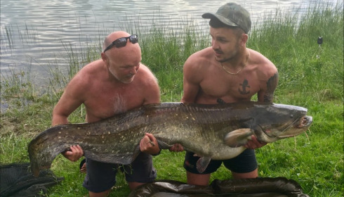 A 77 lb 1 oz catfish from Beaurepaire, Kieran Taylor, May 2018