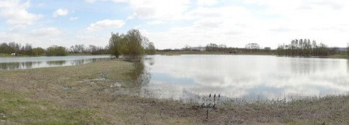 A fish from Beaurepaire, Ben Hopkins, Apr 2012