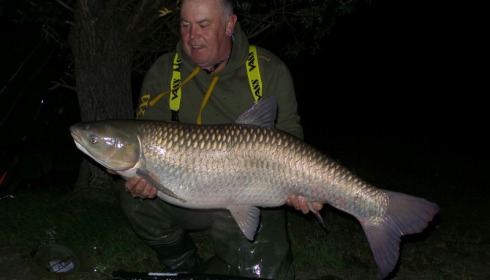A 40 lb grass carp from Beaurepaire, Sep 2017