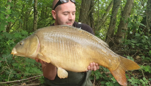 A carp from Blue Lake, kevin bannister, Jun 2019