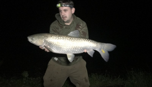 A 20 lb carp from Blue Lake, Oliver Piasecki , Oct 2017