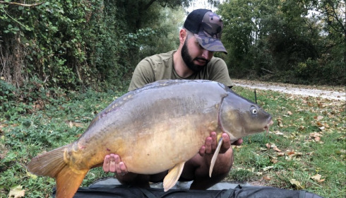 A 33 lb carp from Blue Lake, louis, Sep 2019