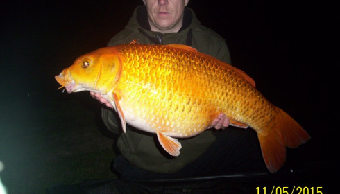 A carp from Blue Lake, richard, Jul 2015