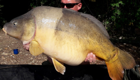 A carp from Blue Lake, delzeeuk, Sep 2021